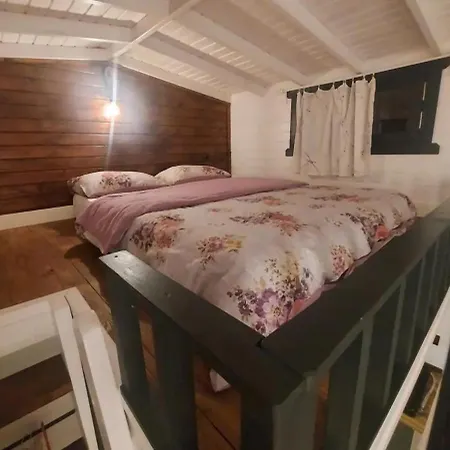 35 Tiny House Apartment Çeşme